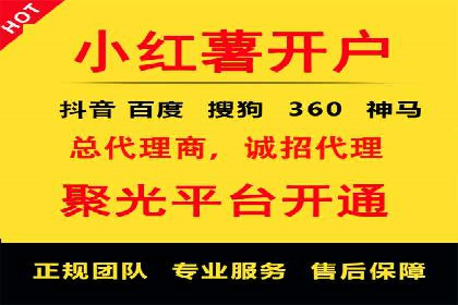 行业专家解析SEM代运营成功案例